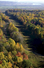 description for Landowners Commitment 1